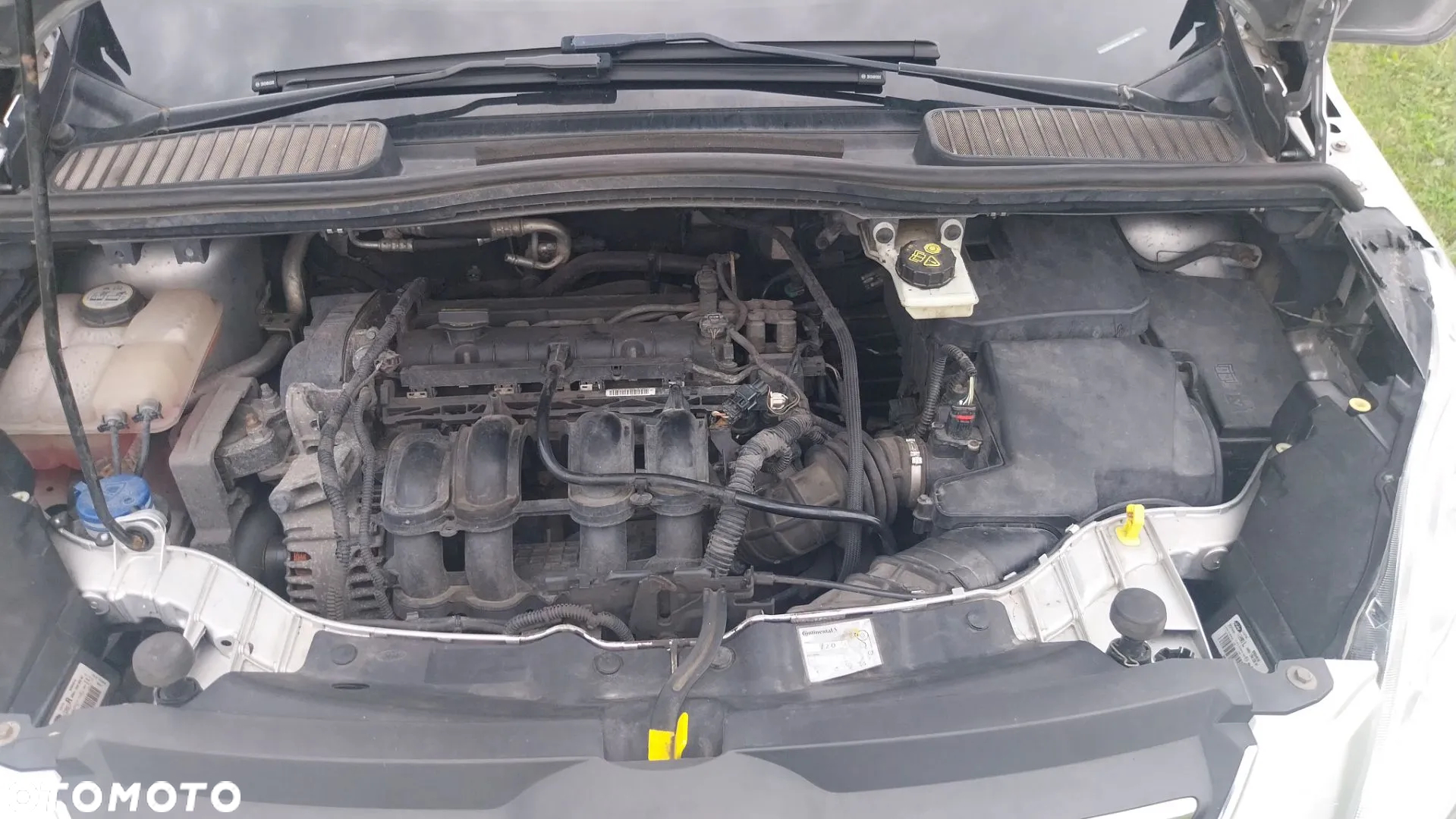 Ford C-MAX - 5