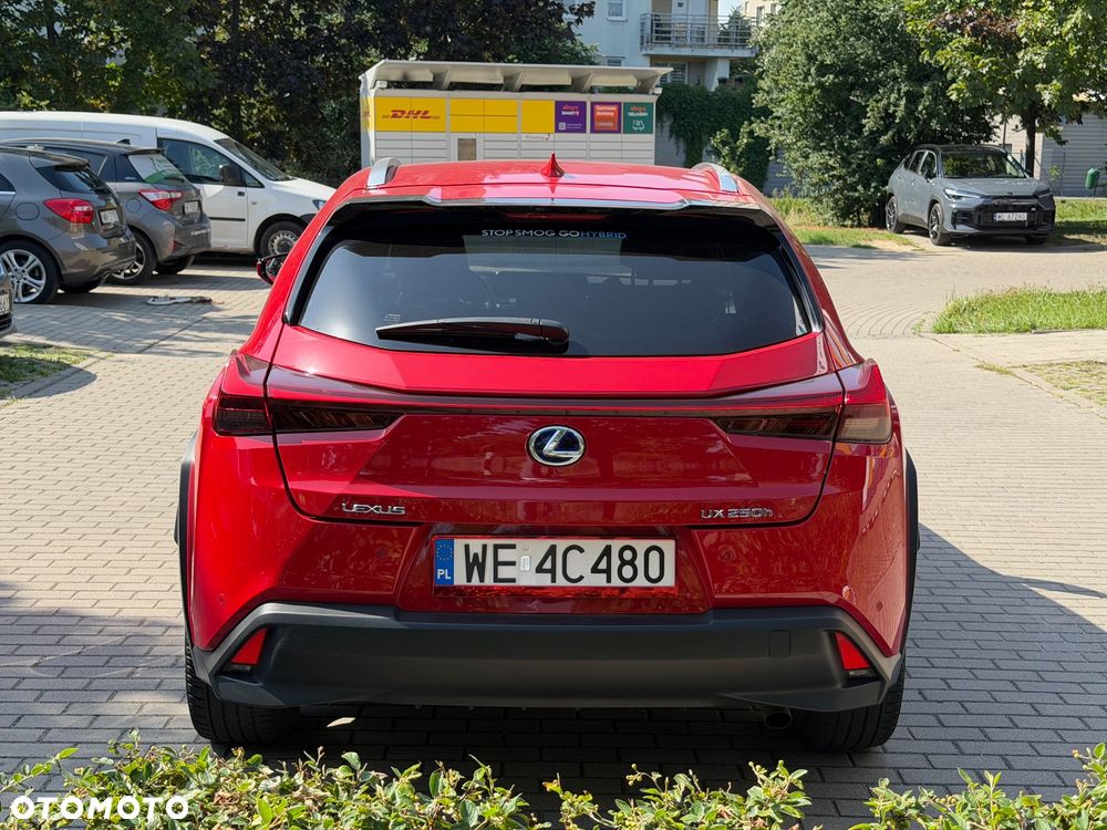 Lexus UX 250h GPF Business Edition 2WD - 13
