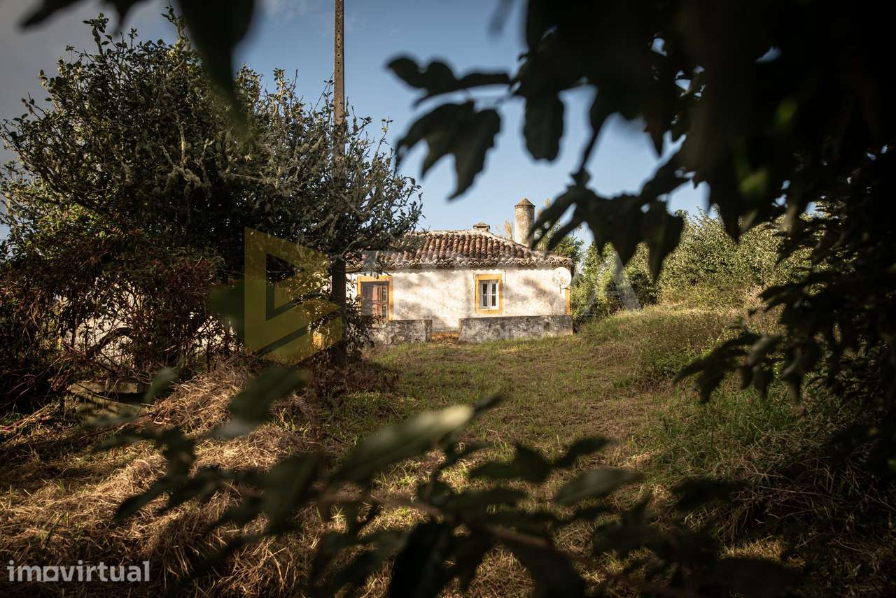 Moradia Isolada em São Pedro – Ilha de Santa Maria - Grande imagem: 4/31