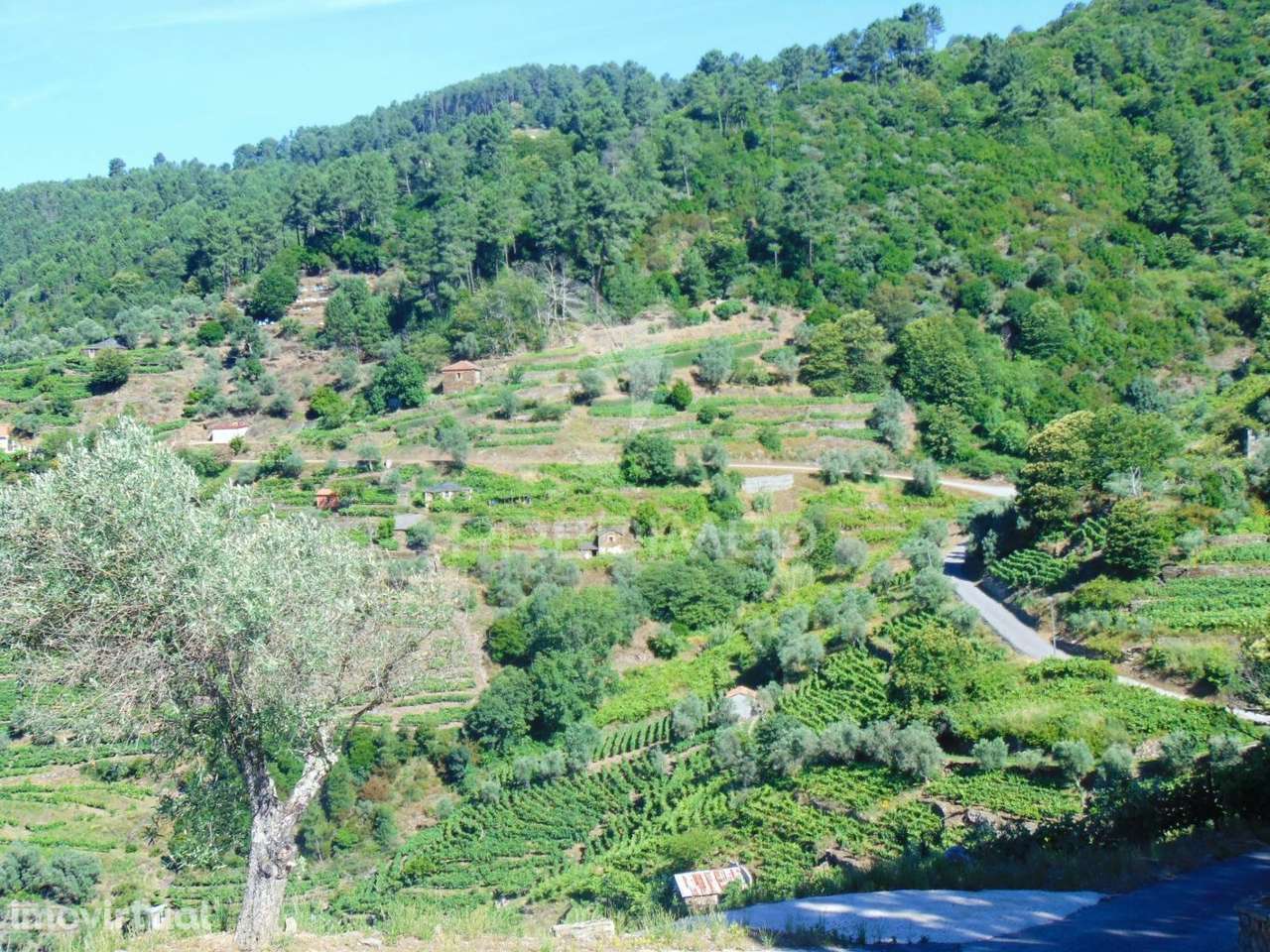 Terreno em Louredo / Santa Marta Penaguião - Grande imagem: 3/25
