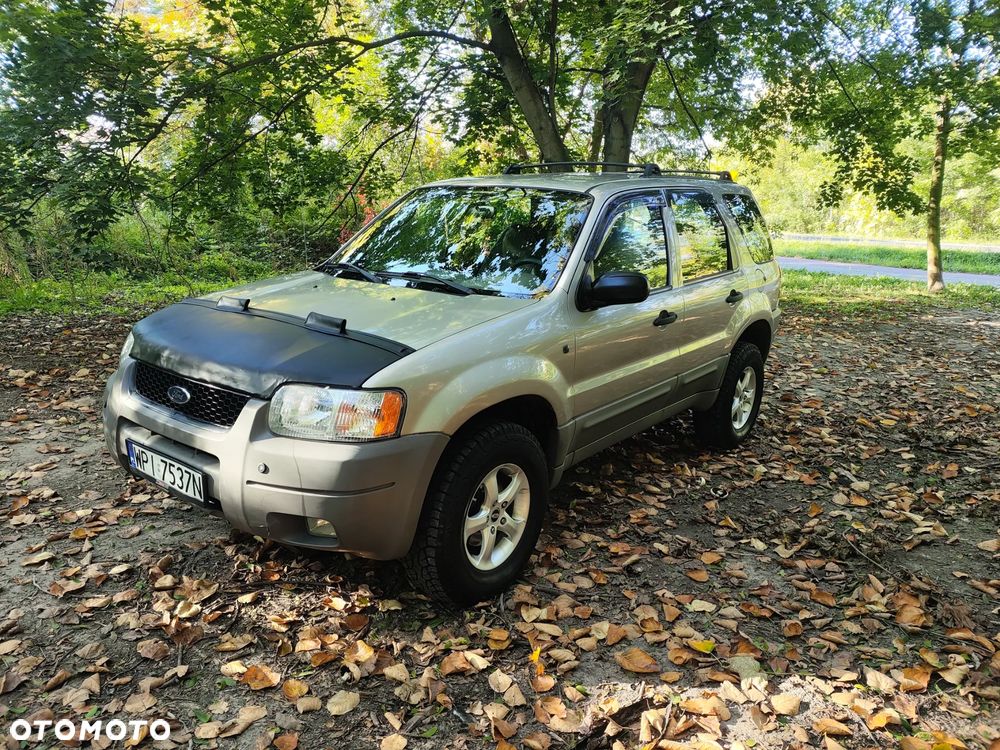 Ford Escape