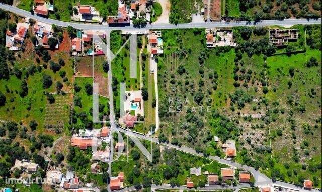 Oportunidade única de investimento! - Grande imagem: 4/4