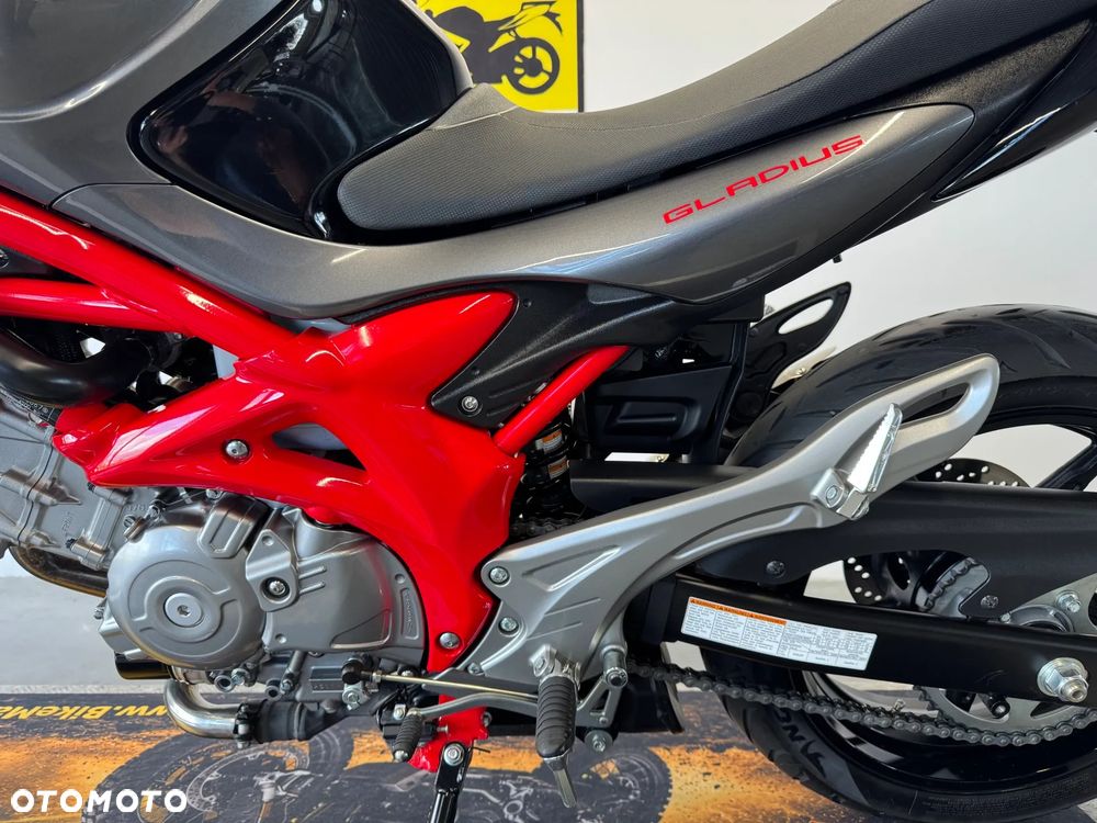 Suzuki Gladius - 24