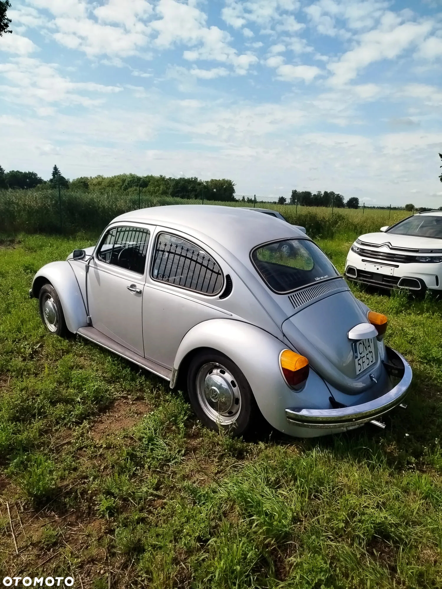 Volkswagen Inny - 4
