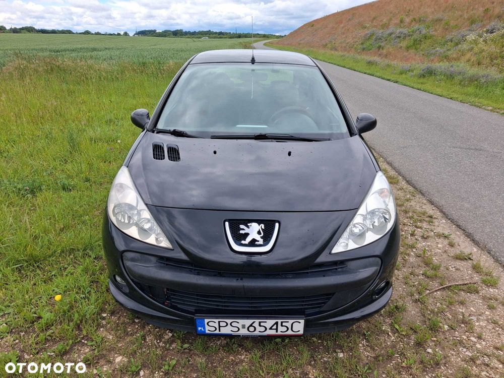 Peugeot 206 plus - 1