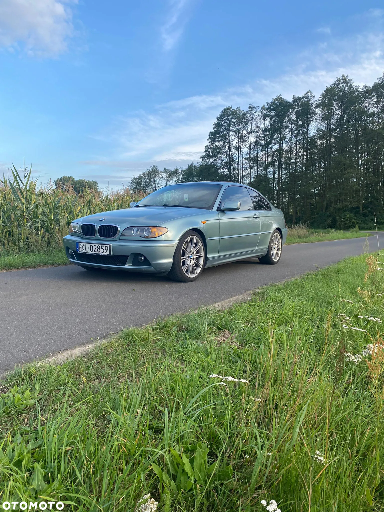 BMW Seria 3 330 Ci - 6