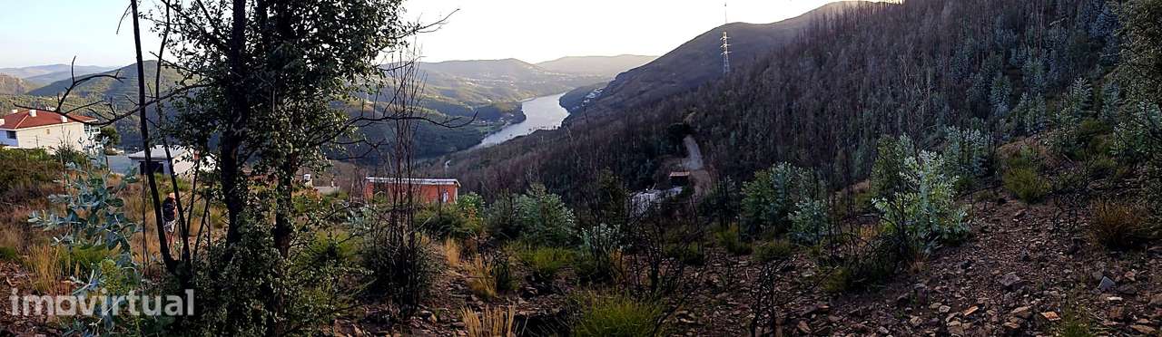 Terreno com Vista Douro em Penafiel - Grande imagem: 3/12