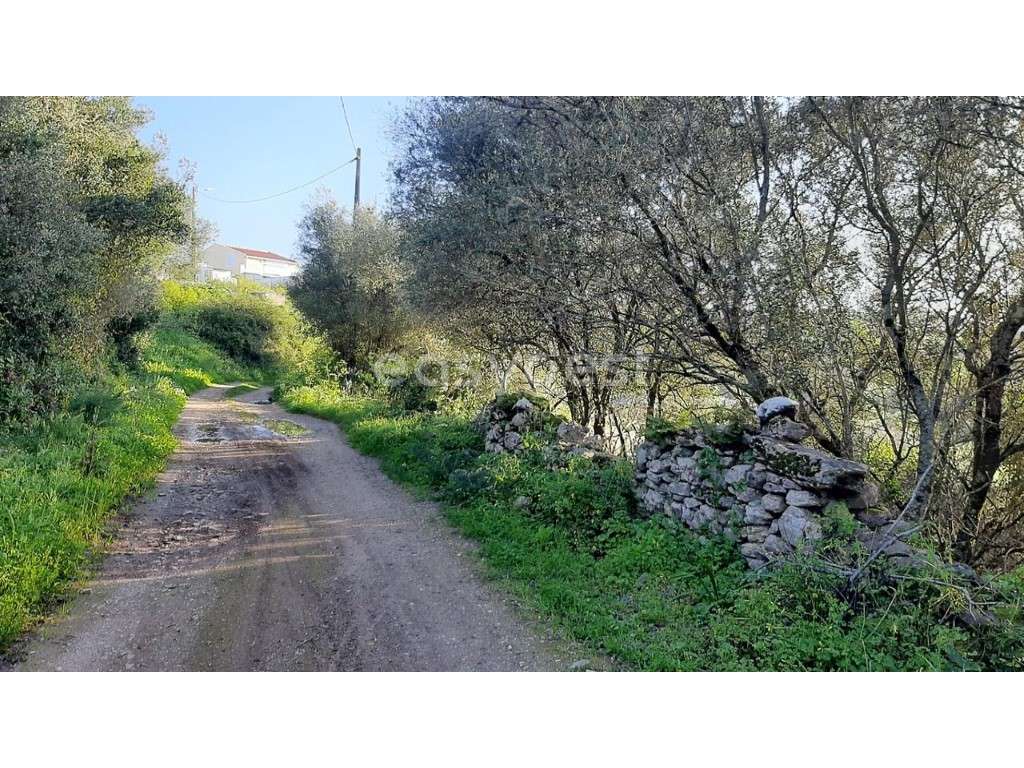 Terreno Rústico de Cultura Arvense em Morelena com 87 880m2 - Grande imagem: 5/17