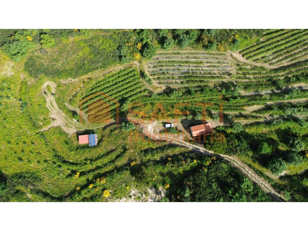 Propriedade Rural com cerca de 6 hectares com pequena residência de... - Grande imagem: 4/59