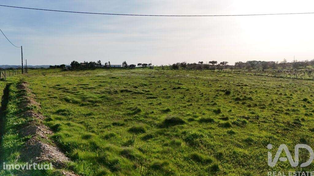 Terreno em Garvão e Santa Luzia - Grande imagem: 4/4