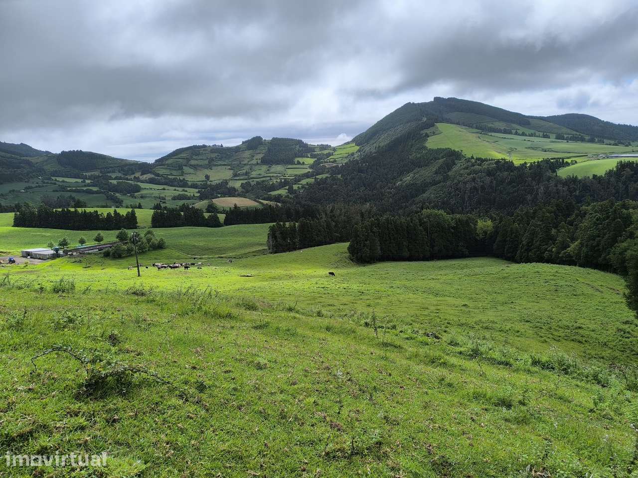 Terreno Rústico à Venda – 54,6032 Hectares Faial da Terra - Grande imagem: 5/11