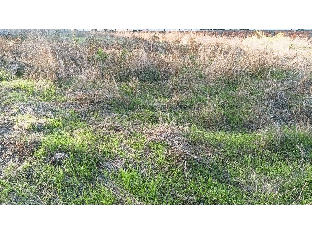Terreno para venda com 26m de frente no centro de Fermentelos - Grande imagem: 2/16
