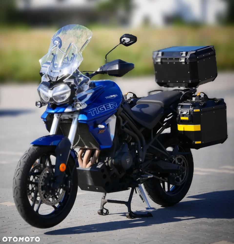 Triumph Tiger - 8