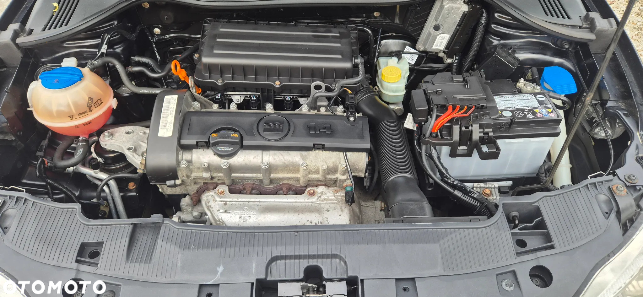 Seat Ibiza - 13
