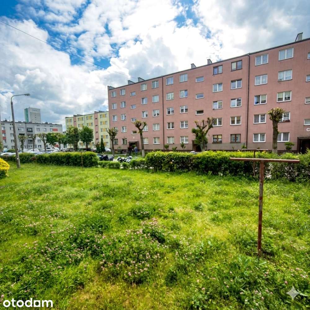Parter | 2 pokoje po remoncie (41,3 m²) | Całe wyposażenie w cenie!