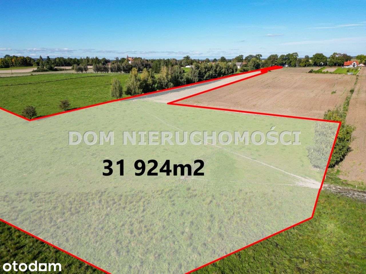 Działka z linią brzegową nad Jeziorakiem-Dobrzyki - Pełny obrazek: 5/20