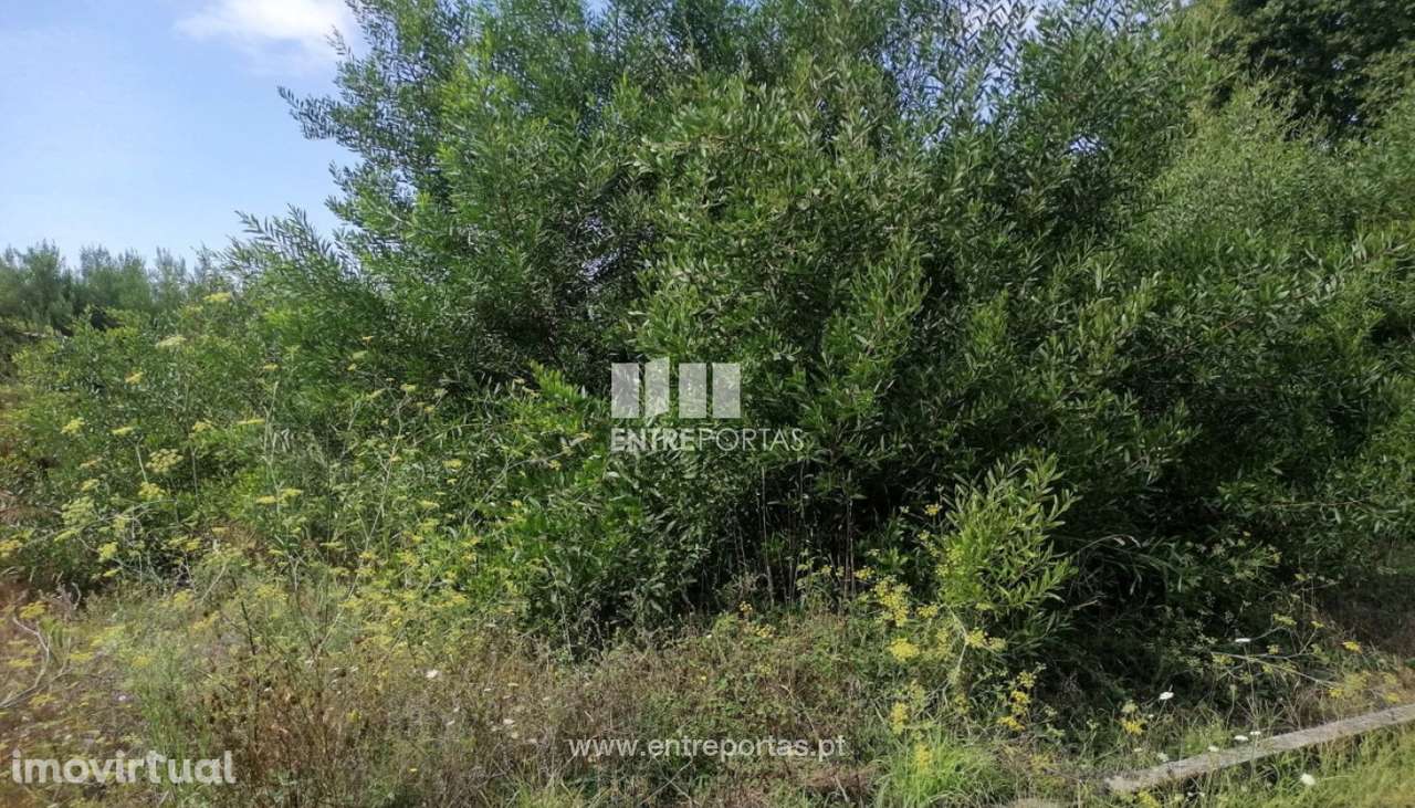 Venda de Terreno de construção, Vila Nova de Anha, Viana do Castelo - Grande imagem: 4/29