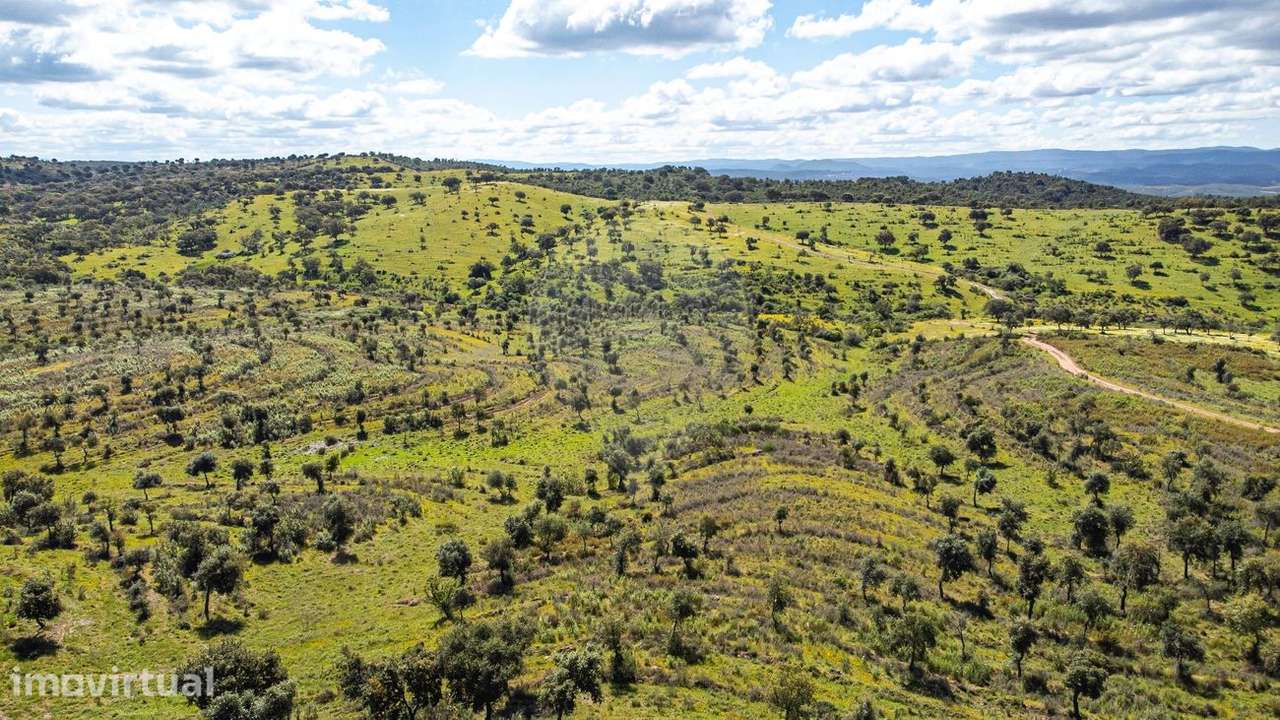 Herdade  para venda - Grande imagem: 5/21