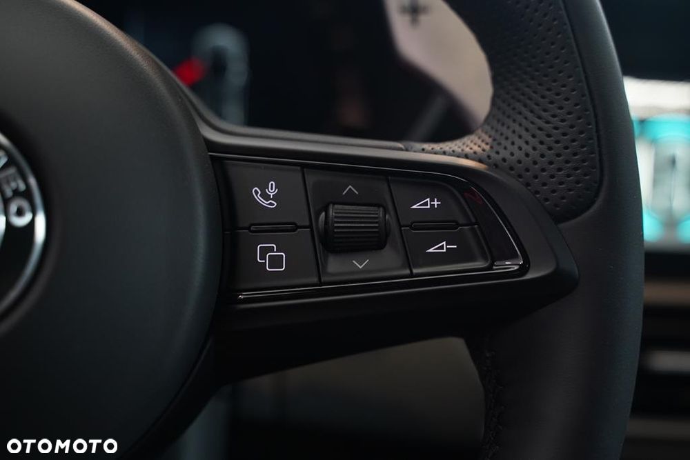 Alfa Romeo Giulia 2.0 Turbo Veloce Q4 - 15