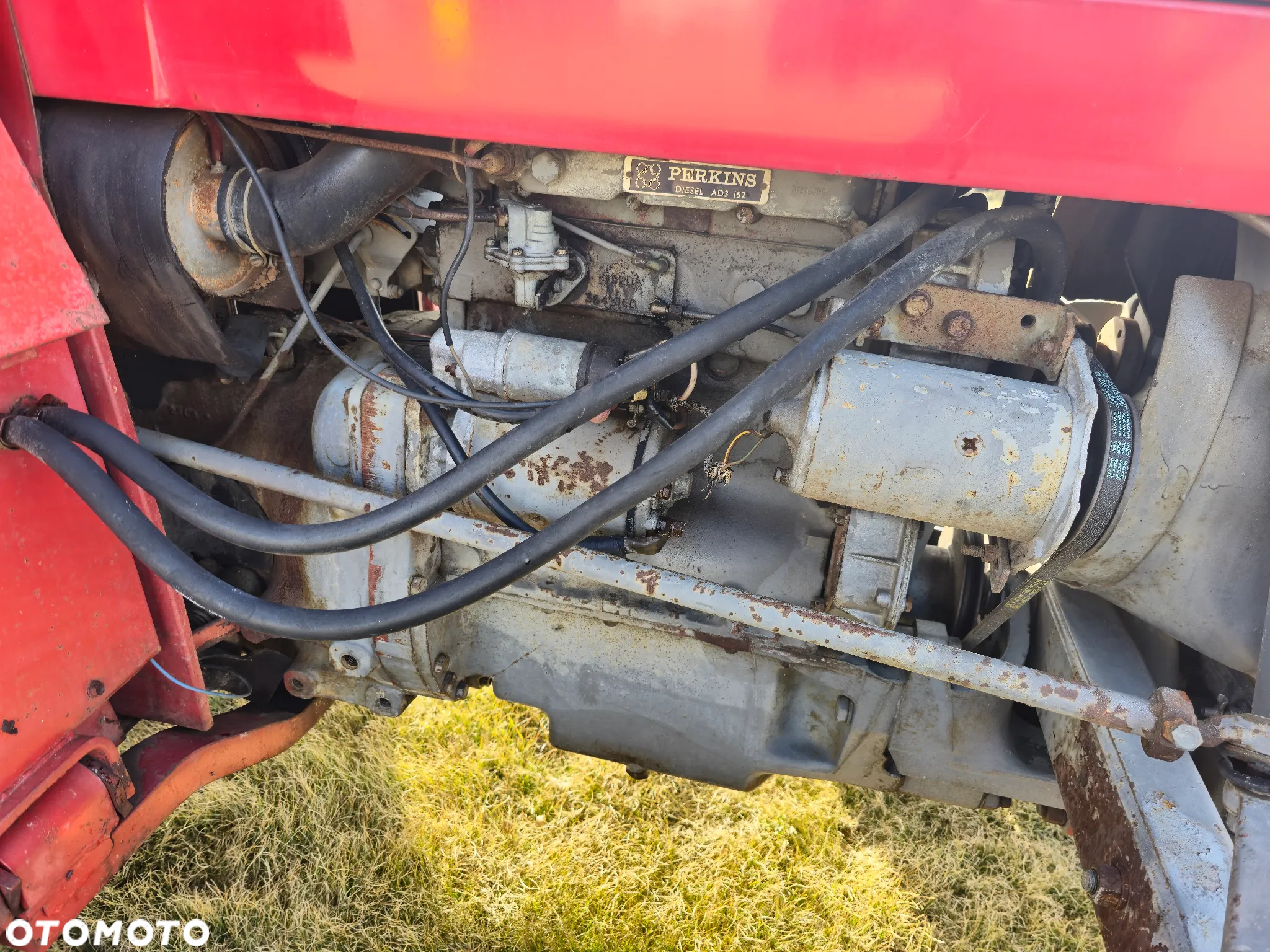 Massey Ferguson MF 135 Special 8-VX - 12