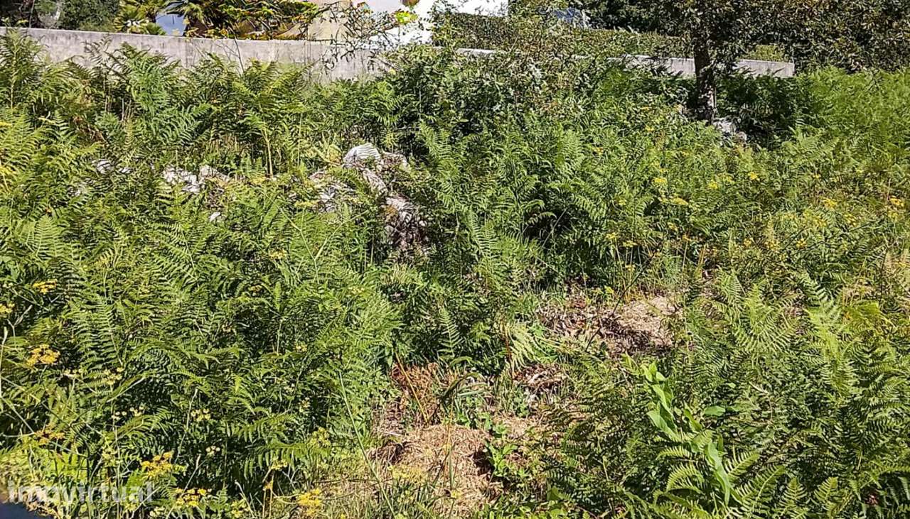 Venda de Terreno para construção, Afife, Viana do Castelo. - Grande imagem: 3/27