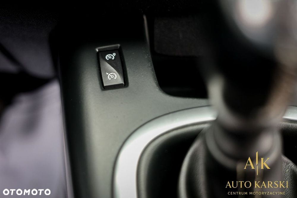 Renault Scenic - 21