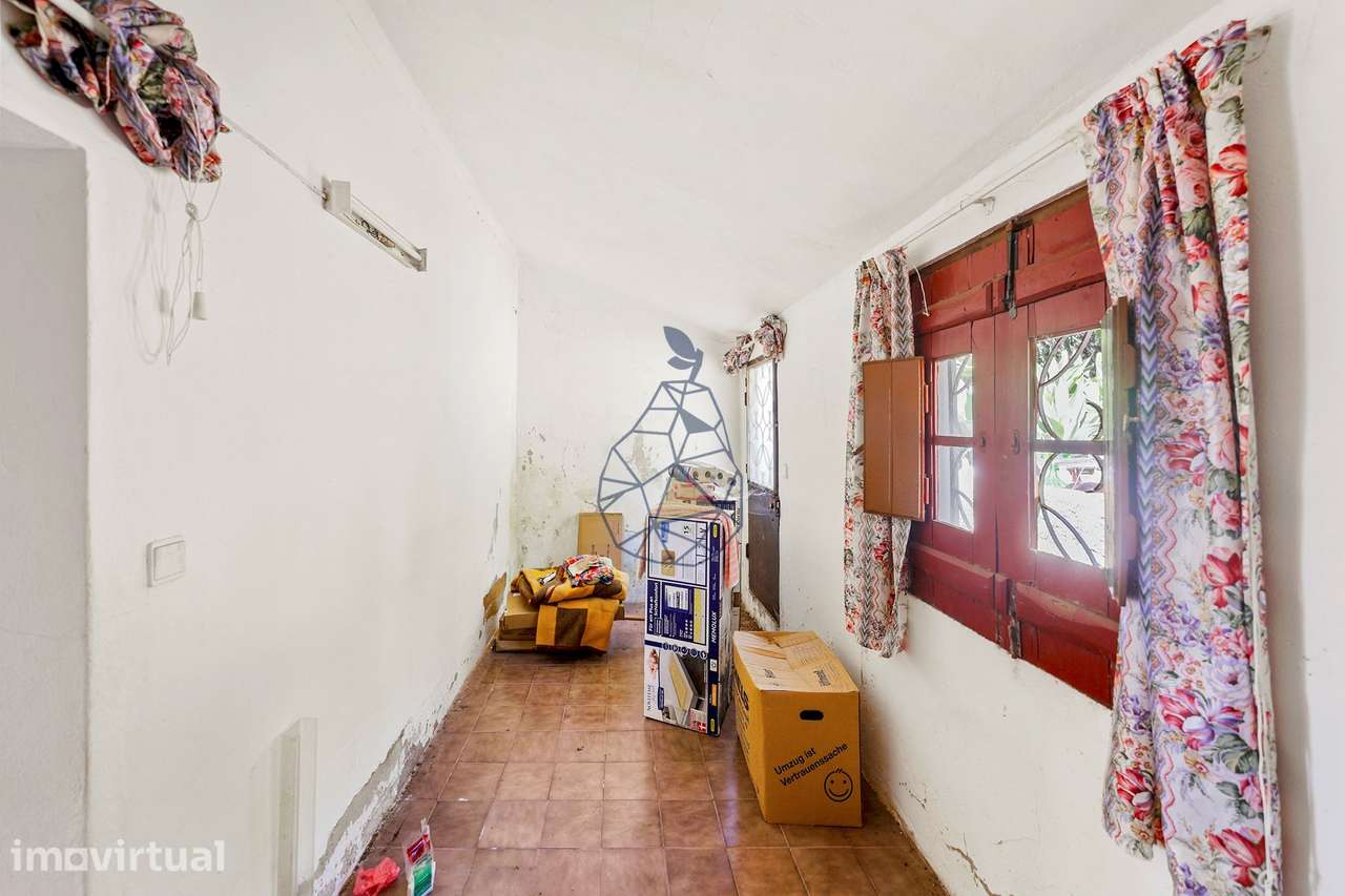 Quinta com Vista Mar, Água em Abundância e Privacidade — Rincovo Palme - Grande imagem: 5/55