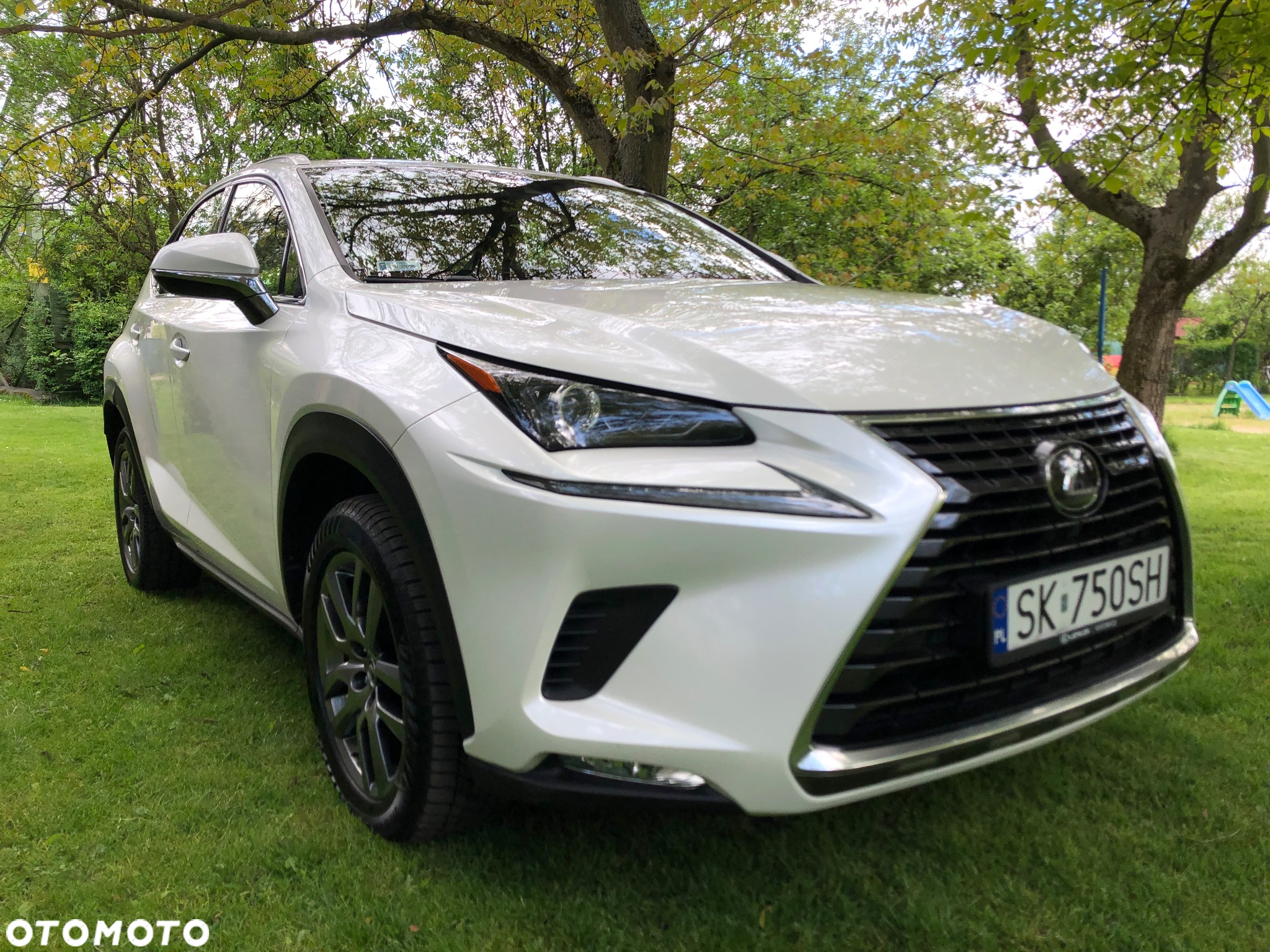 Lexus NX 300 Business Edition AWD - 2