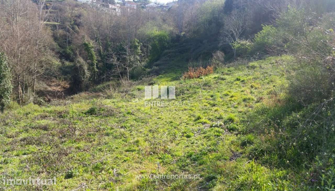 Venda Terreno, Manhuncelos, Marco de Canaveses - Grande imagem: 5/7