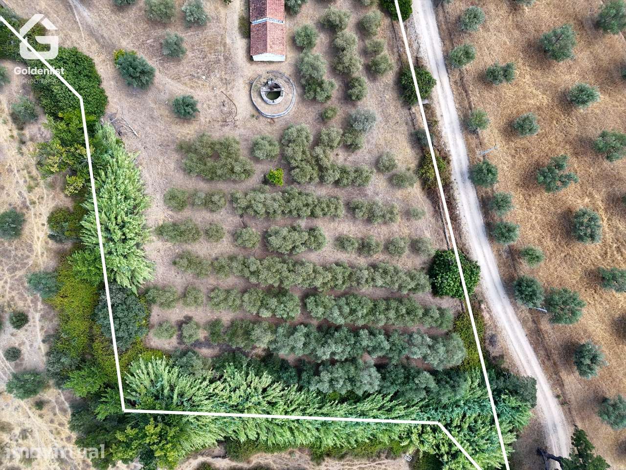 Quinta T1 Venda em Benavila e Valongo,Avis - Grande imagem: 4/41