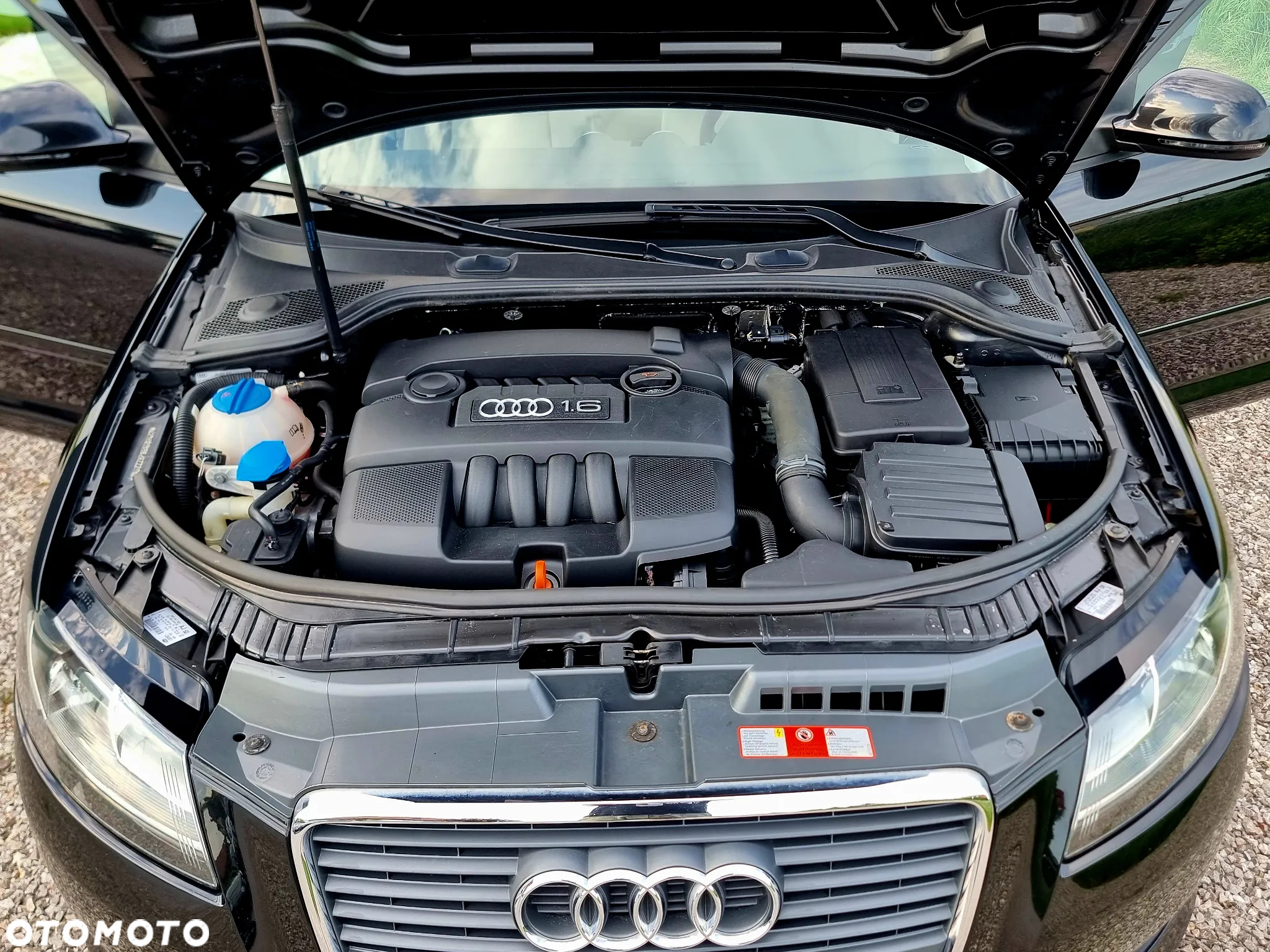 Audi A3 1.6 Attraction - 31