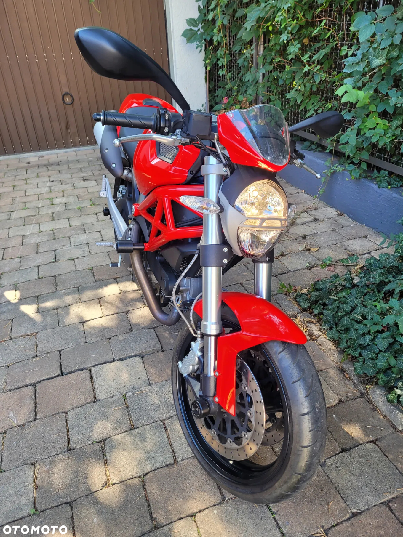 Ducati Monster - 2