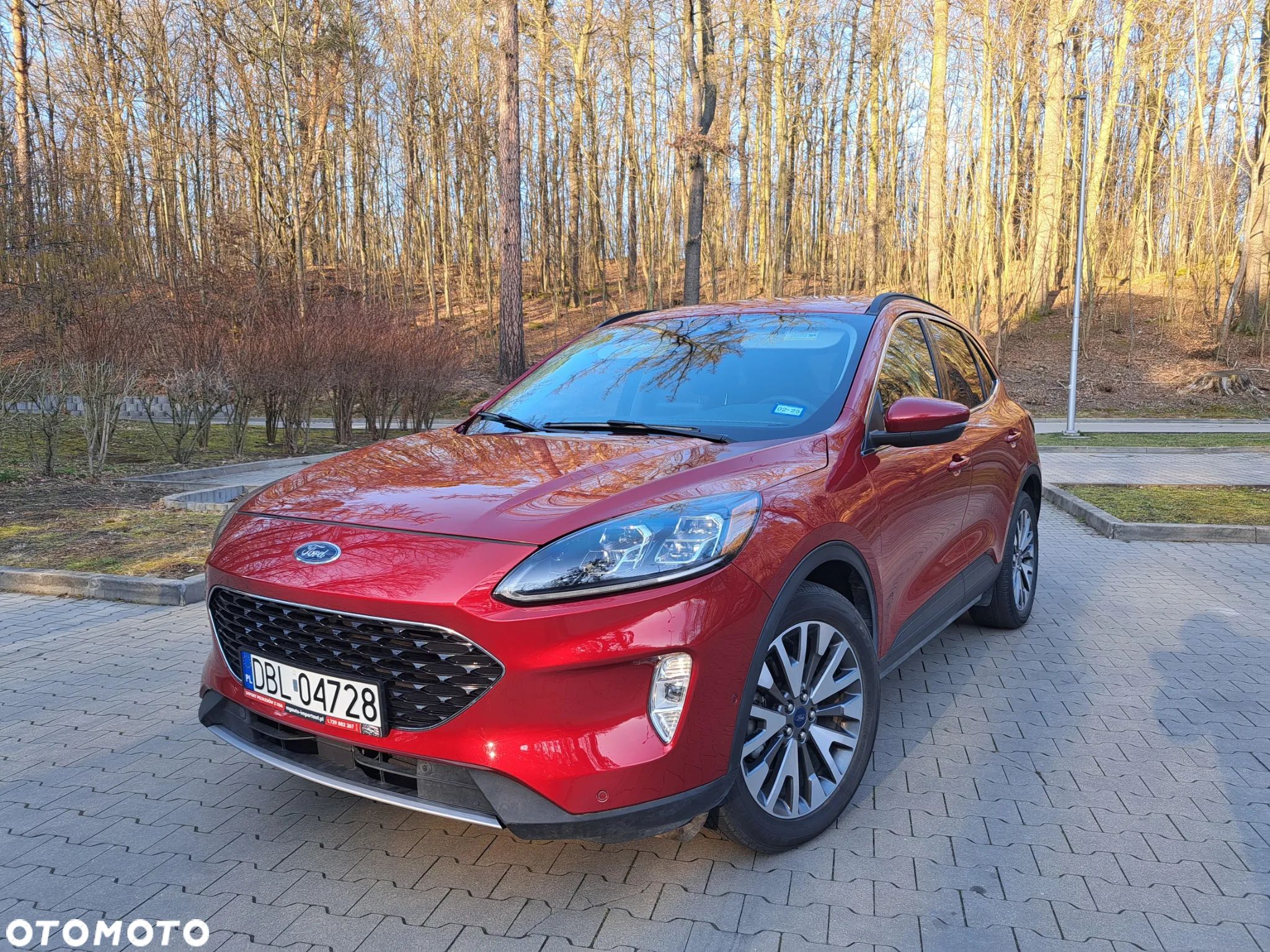 Ford Escape - 1