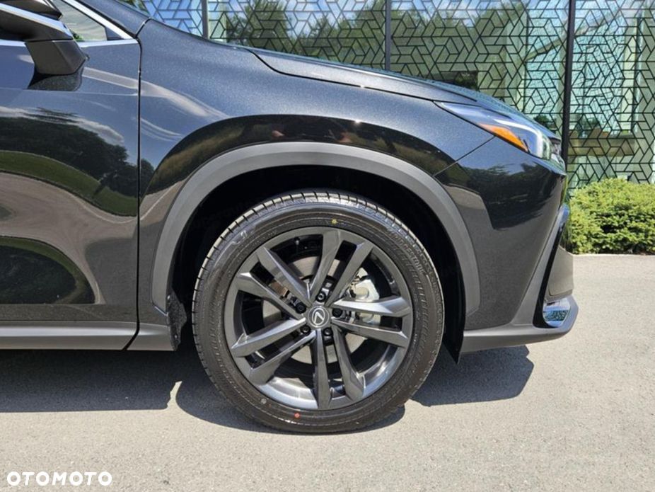 Lexus NX - 17