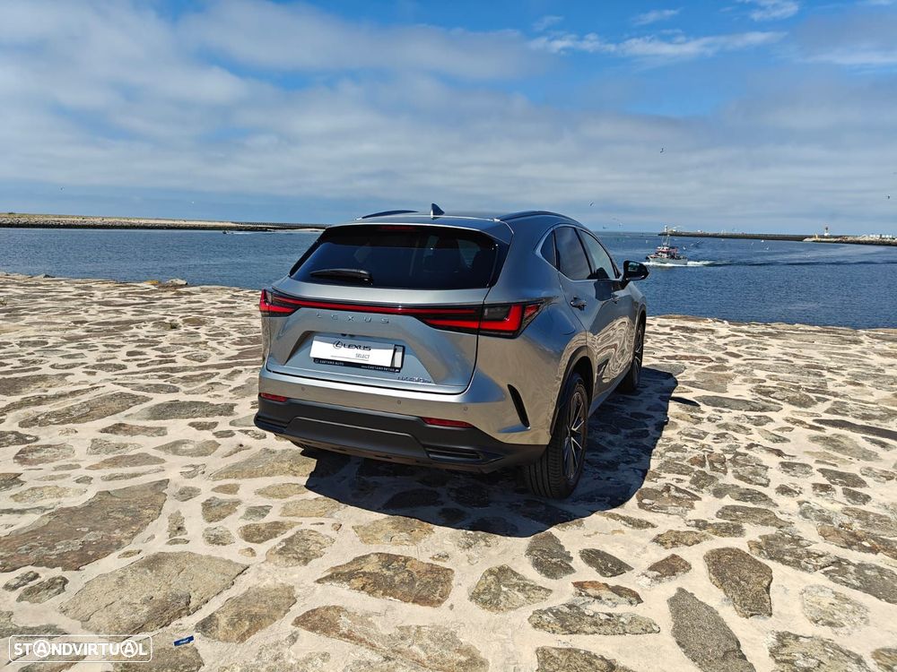 Lexus NX 450h+ Executive+ - 10
