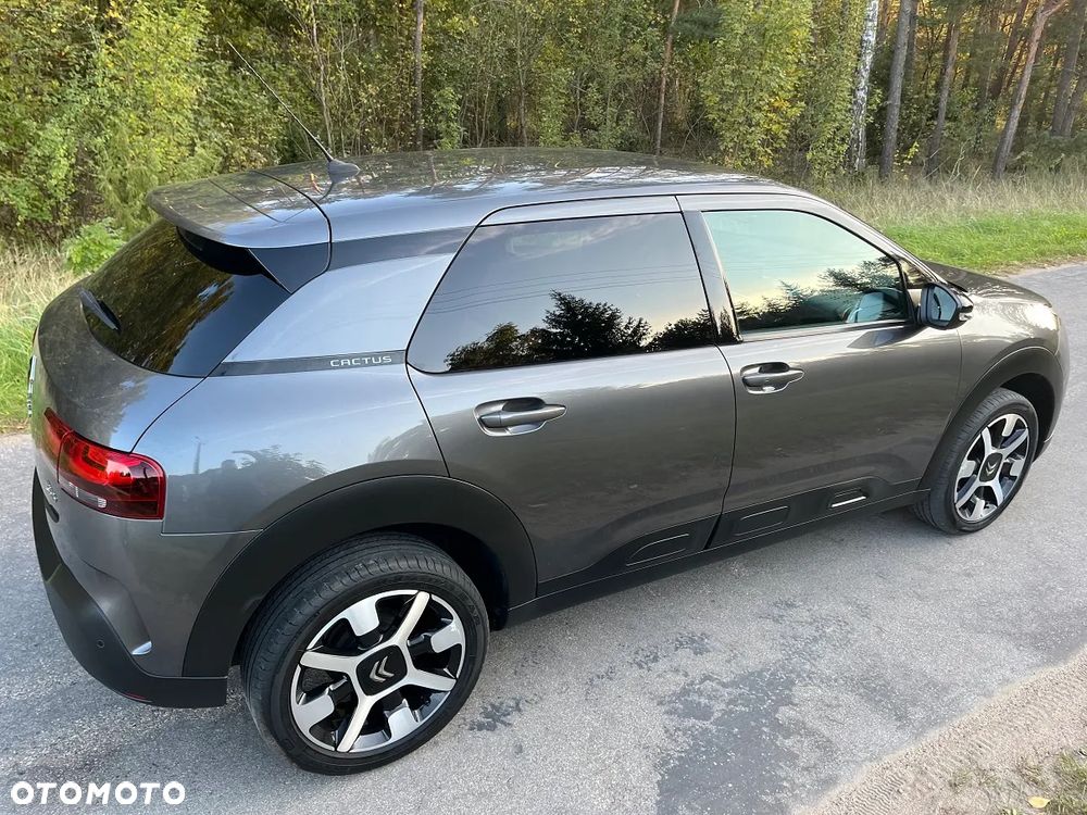 Citroën C4 Cactus Pure Tech 110 Stop&Start Shine - 4
