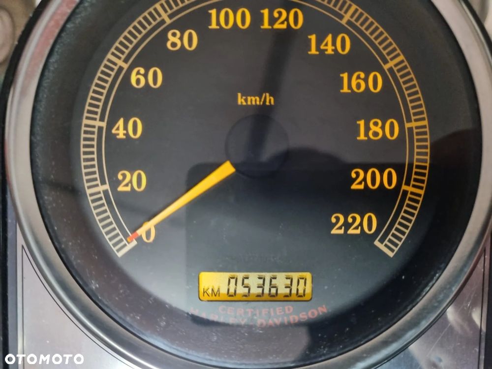 Harley-Davidson Softail - 28
