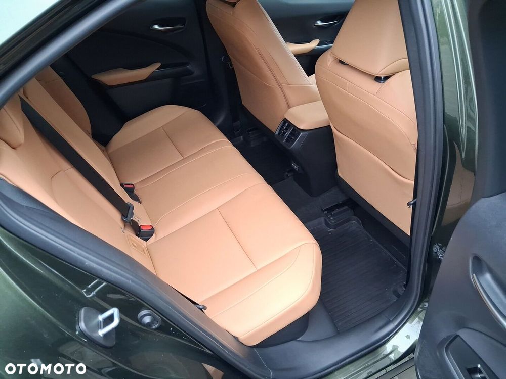 Lexus UX 300h F Sport Design - 24