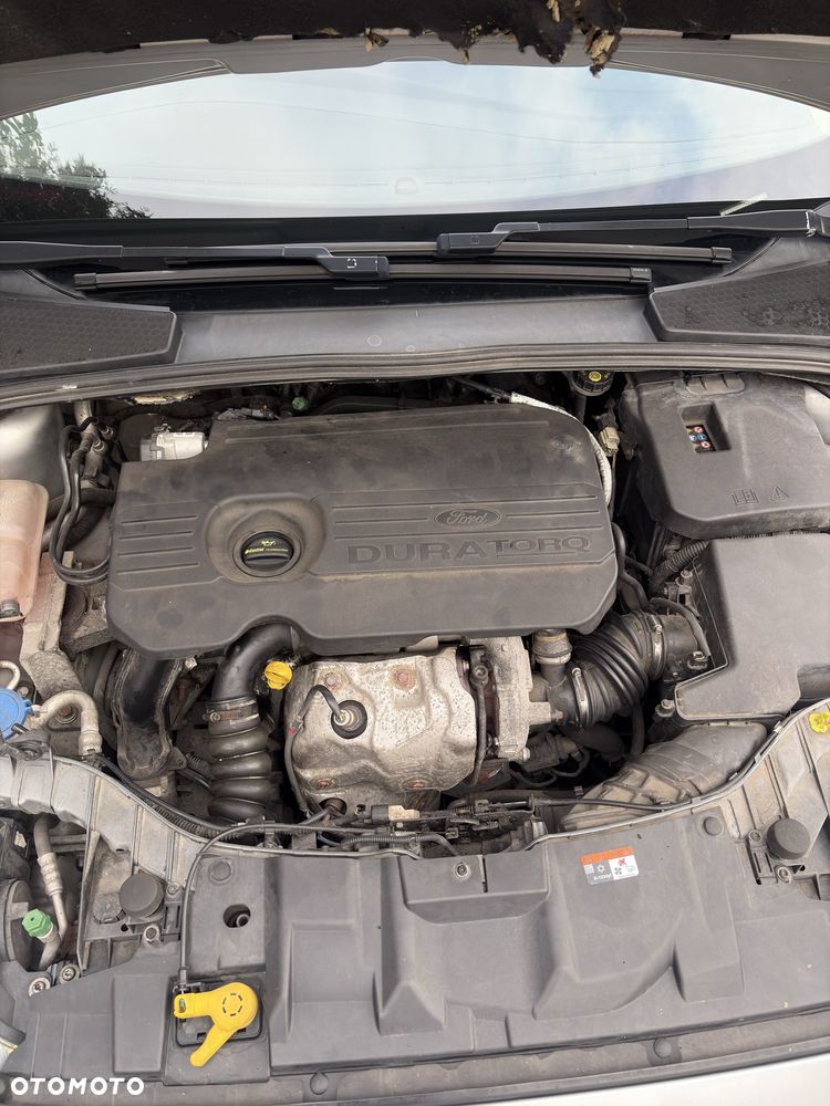 Ford Focus - 11