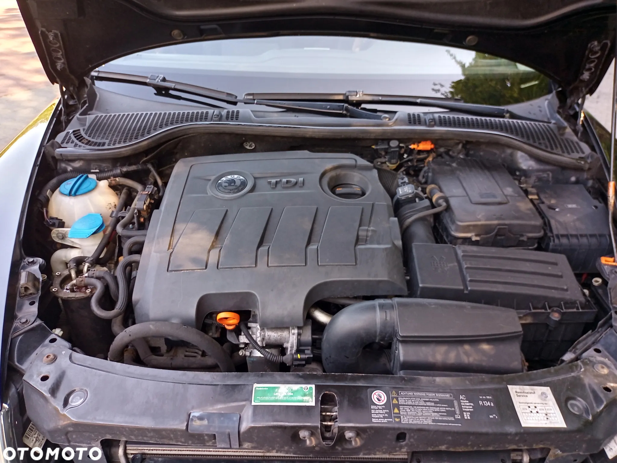Skoda Octavia 1.6 TDI Ambition - 23