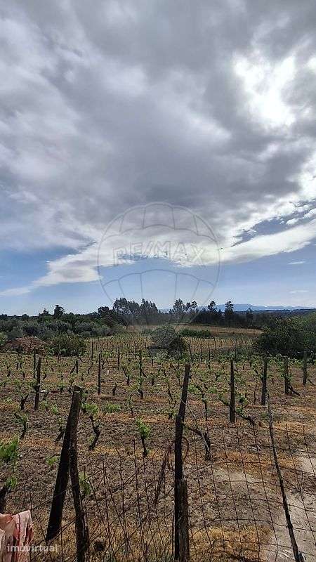 Terreno  para venda - Grande imagem: 3/16