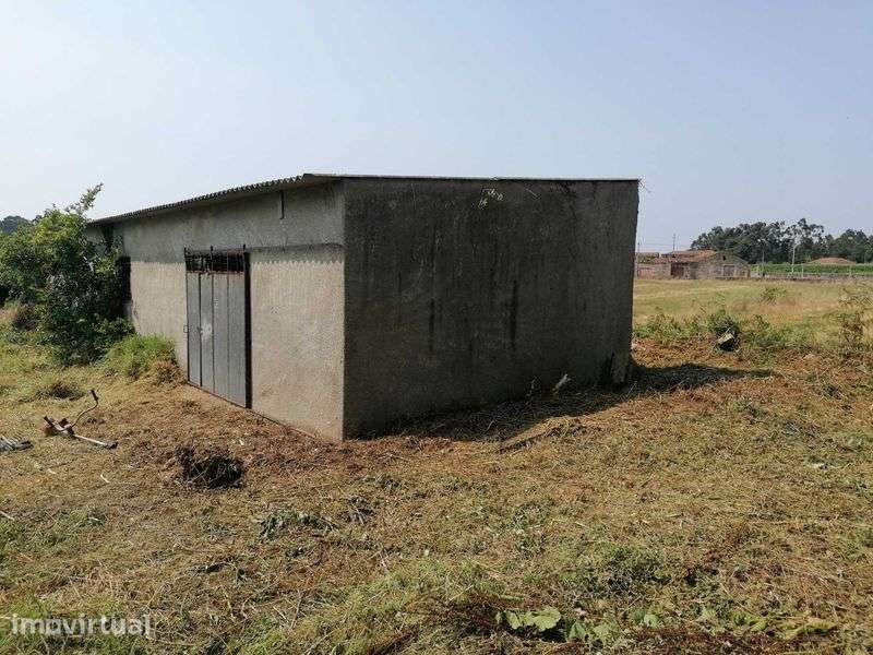 Alugo Terreno 6500m2 com anexo 100m2 - Grande imagem: 2/5