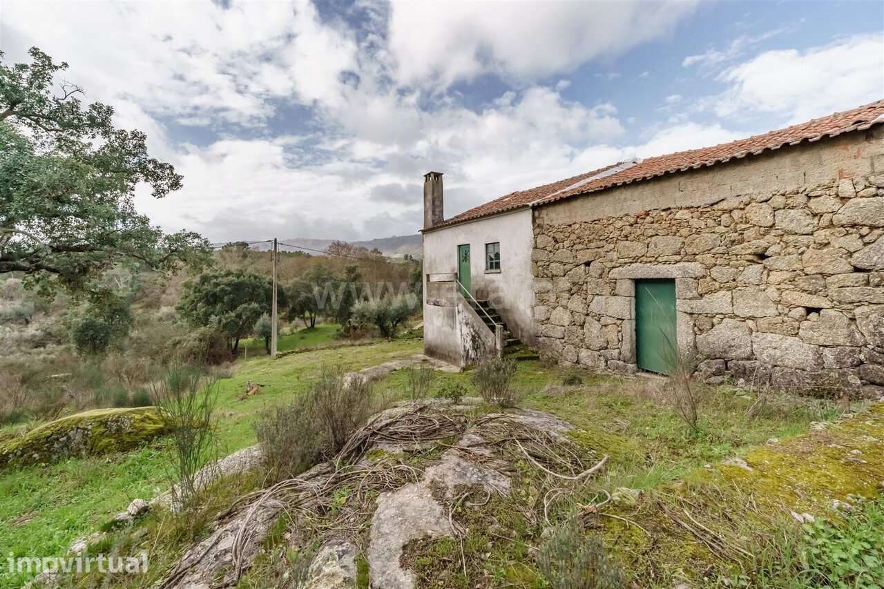 Quintinha T1 / Fundão, Vale Prazeres - Grande imagem: 2/20