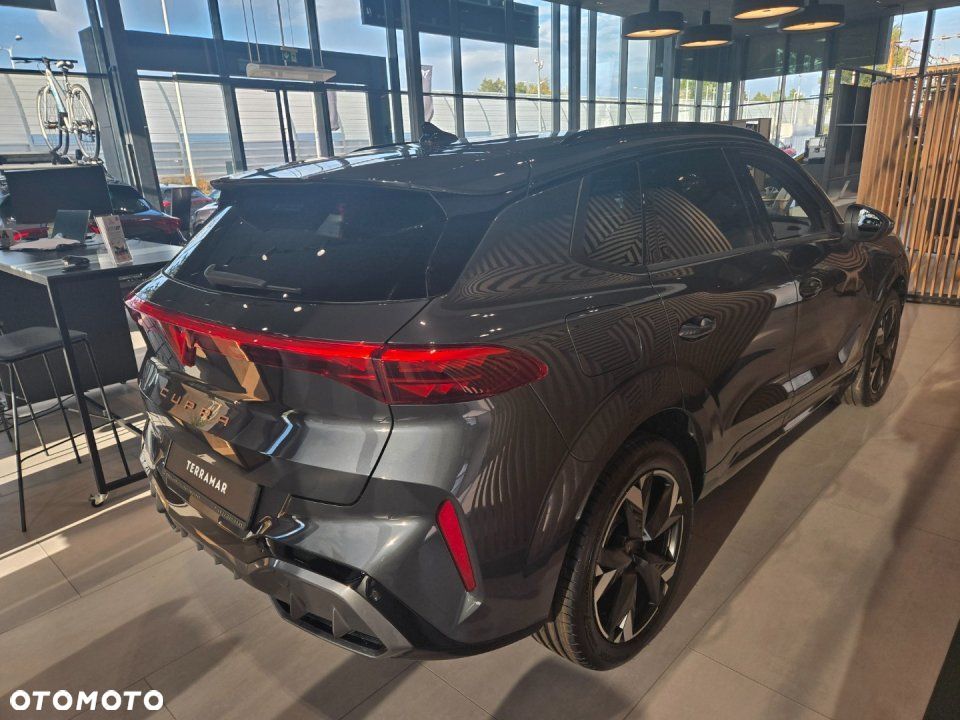 Cupra Terramar - 18