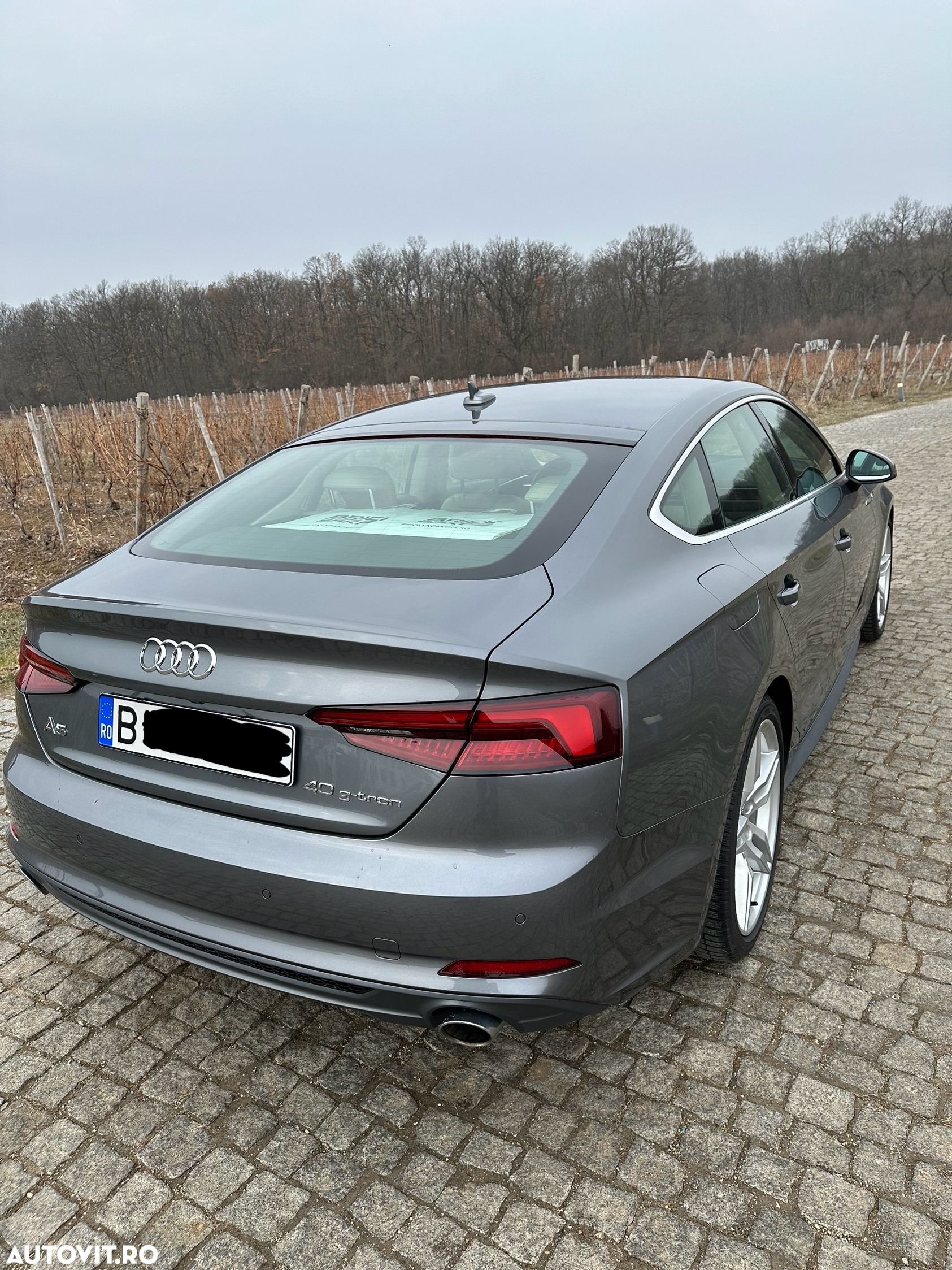 Volkswagen Passat - 5