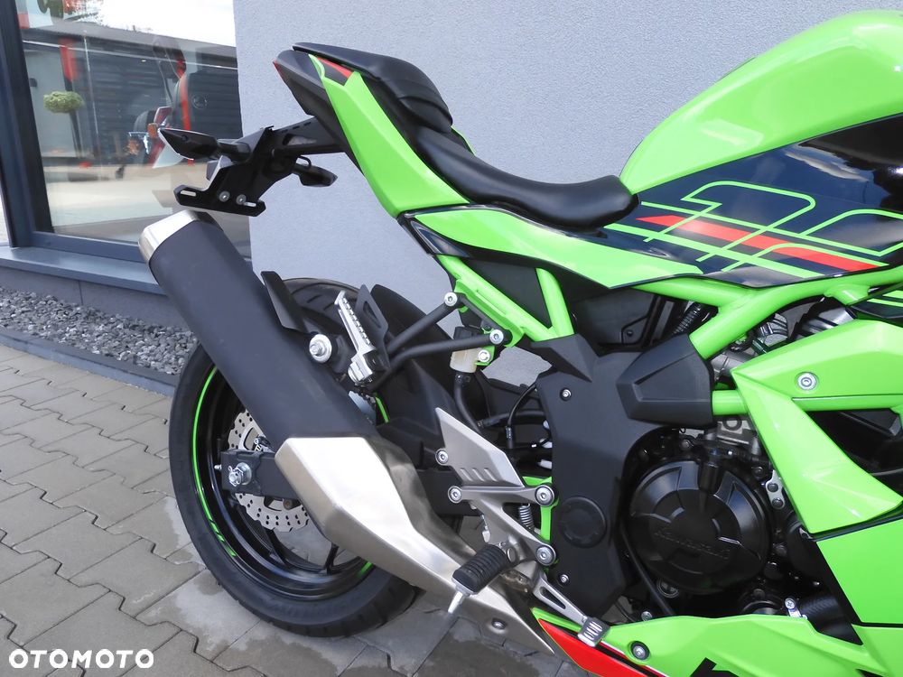 Kawasaki Ninja - 10