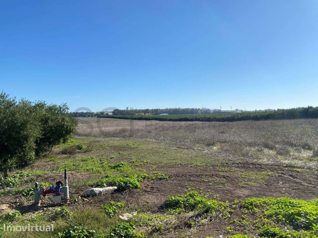 Terreno Rustico com cerca de quatro hectares, nas imediações da cid... - Grande imagem: 3/11