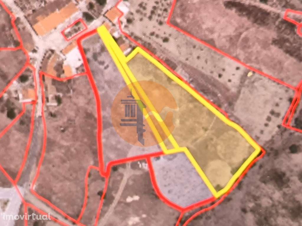 TERRENO COM 4.000 M2 - PARA CONSTRUÇÃO - NA ALDEIA DE TESOURO - EM ... - Grande imagem: 2/49