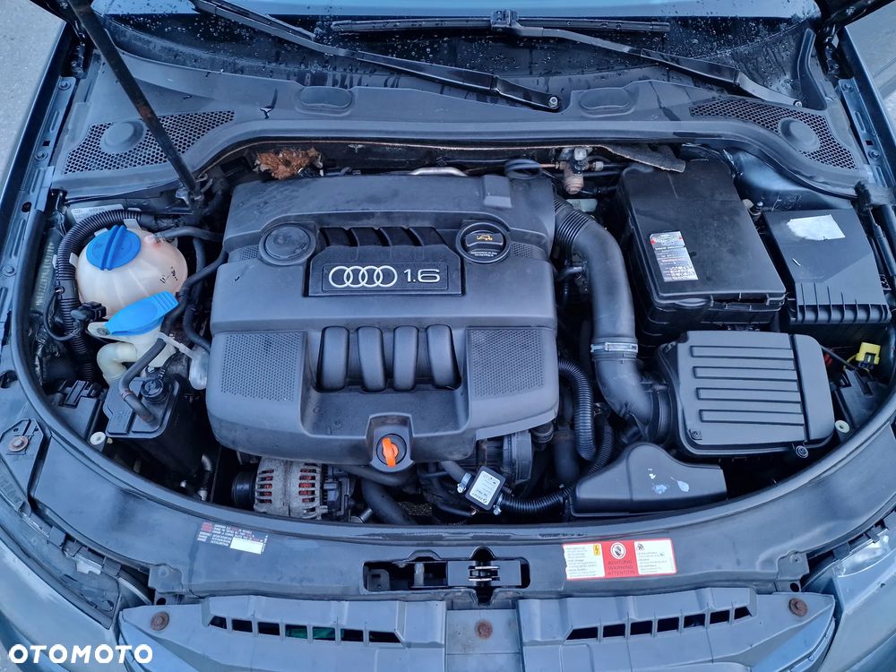 Audi A3 3-drzwiowe 1.6 Attraction - 12
