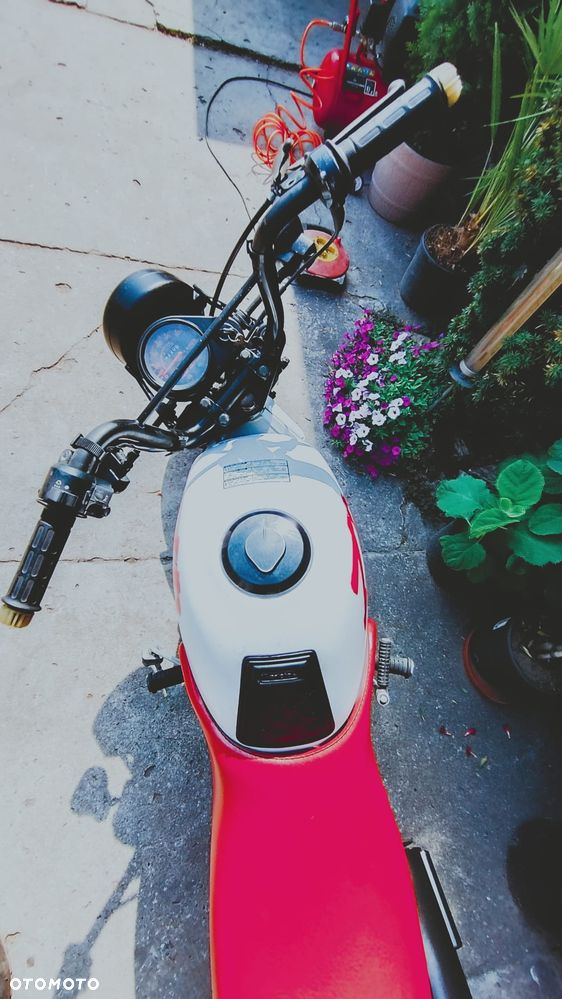 Honda ZB - 10